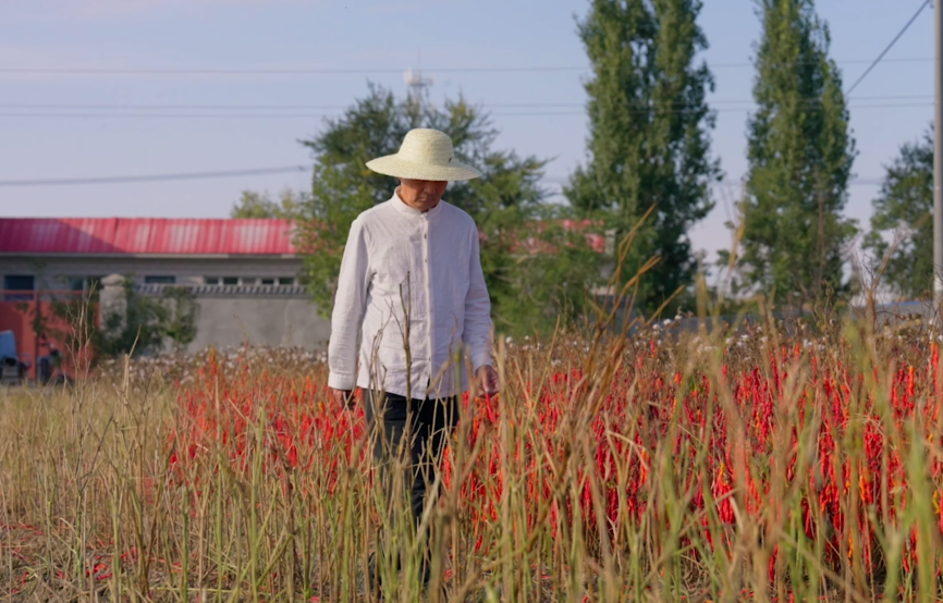 行走乡土中国，记录乡村新貌——中央广播电视总台央视中文国际频道《记住乡愁》开播