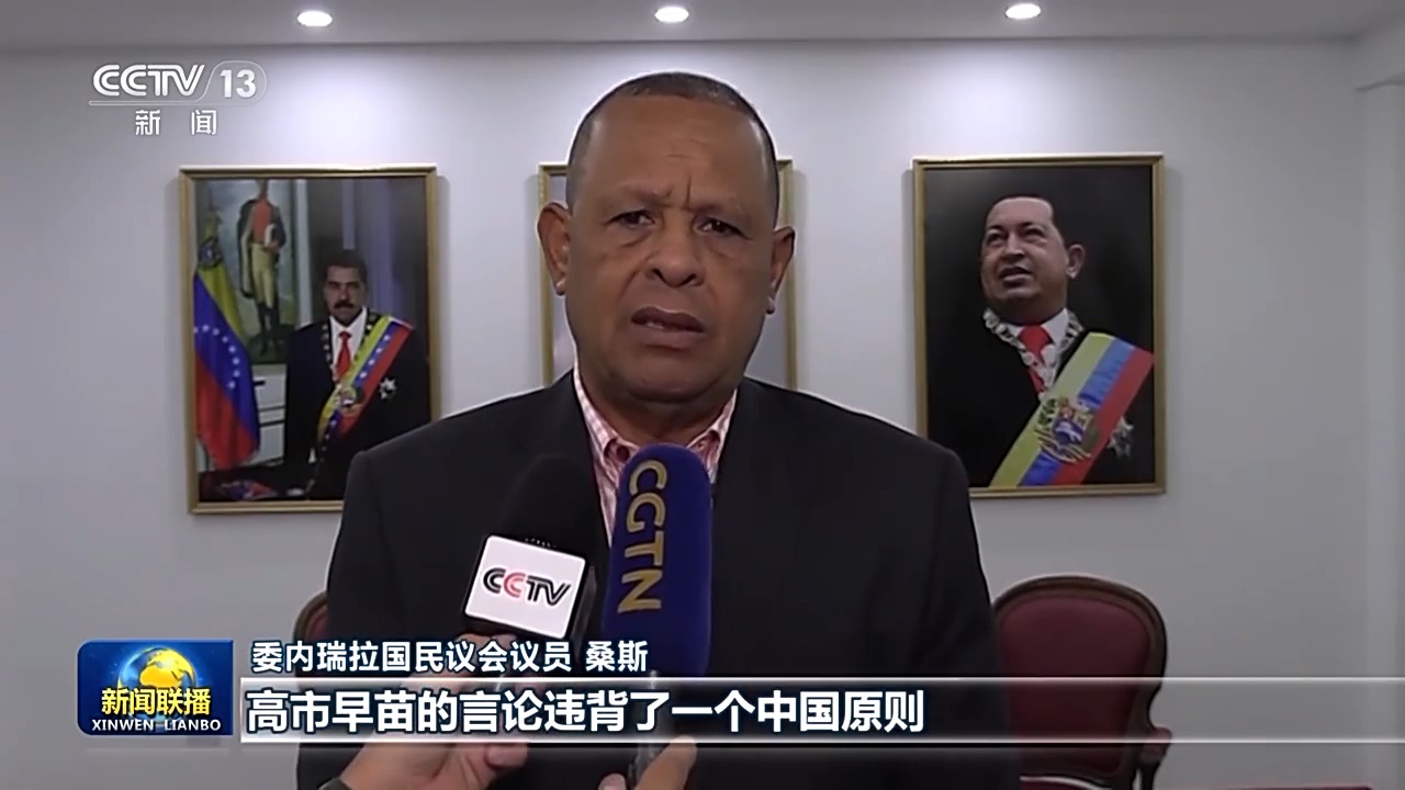 国际人士批高市谬论严重违反国际法和国际关系基本准则