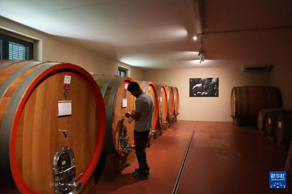 葡萄满枝头 焦虑压心头——探访美关税冲击下的意大利酒庄