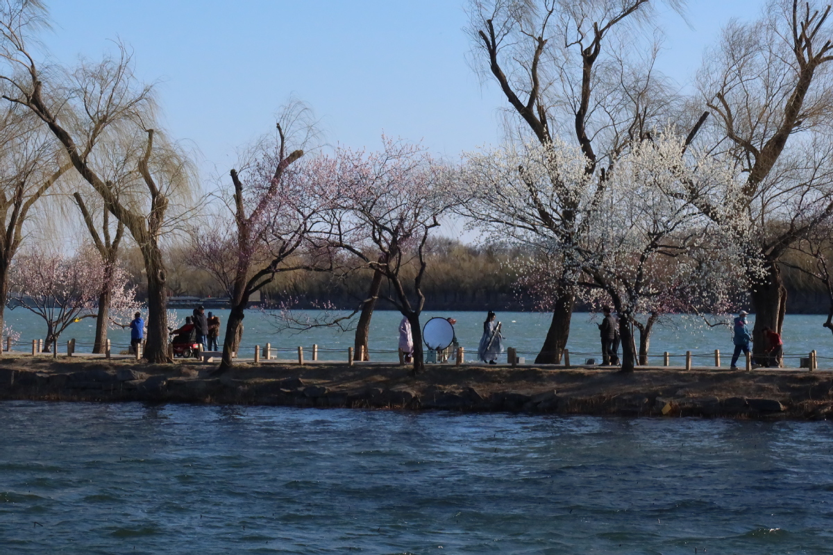 北京：颐和园春色渐浓