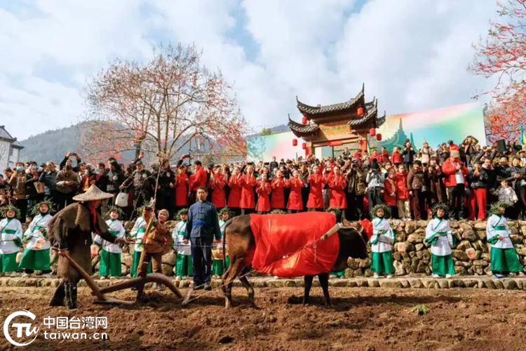 台胞来衢参加立春祭 一起打开中国的春天