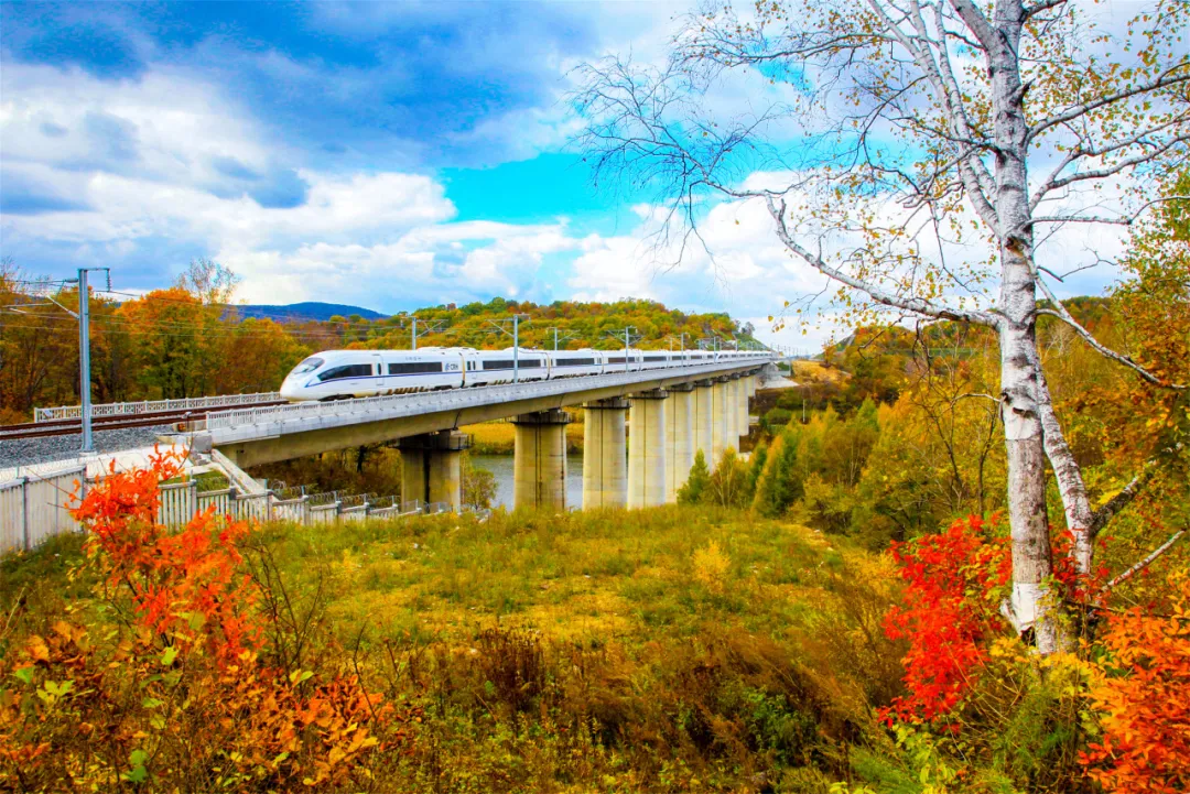 这条高铁近期特别火!除了美景还有不能“辜负”的美食 这条高铁近期特别火!除了美景还有不能“辜负”的美食