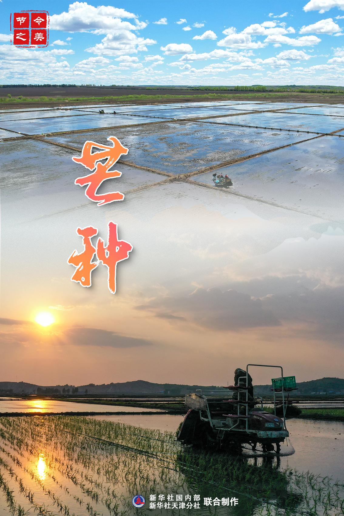 节令之美·芒种｜孟夏将尽 仲夏登场