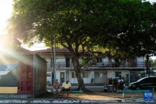 巴西马卡帕：赤道之城的生态与人文风貌