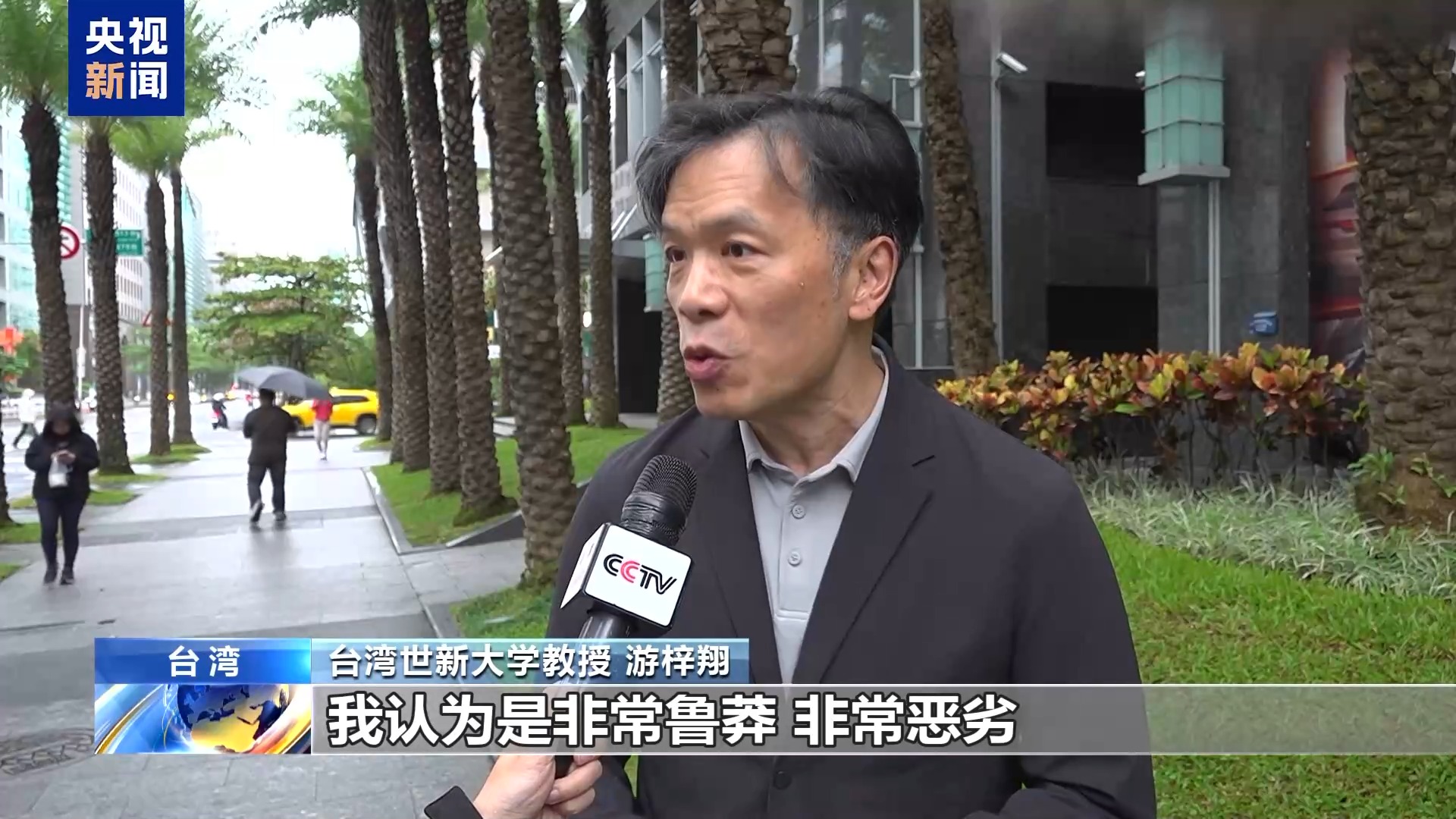 台湾学者：高市妄言乃刻意搞事 实属恶劣