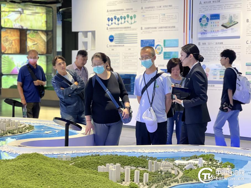 文物会说话 规划见未来 台湾青年珠海参访解锁文化交流新密码