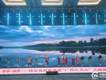“刻在骨子里的文化记忆不会磨灭”——2026年桂台各民族欢度“广西三月三”大联欢侧记