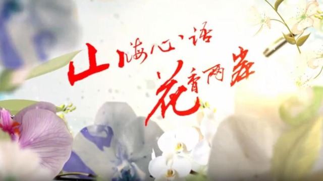 云南首部两岸花卉文旅微短剧《山海心语 花香两岸》（第四集）_fororder_截图录屏_选择区域_20251127154727