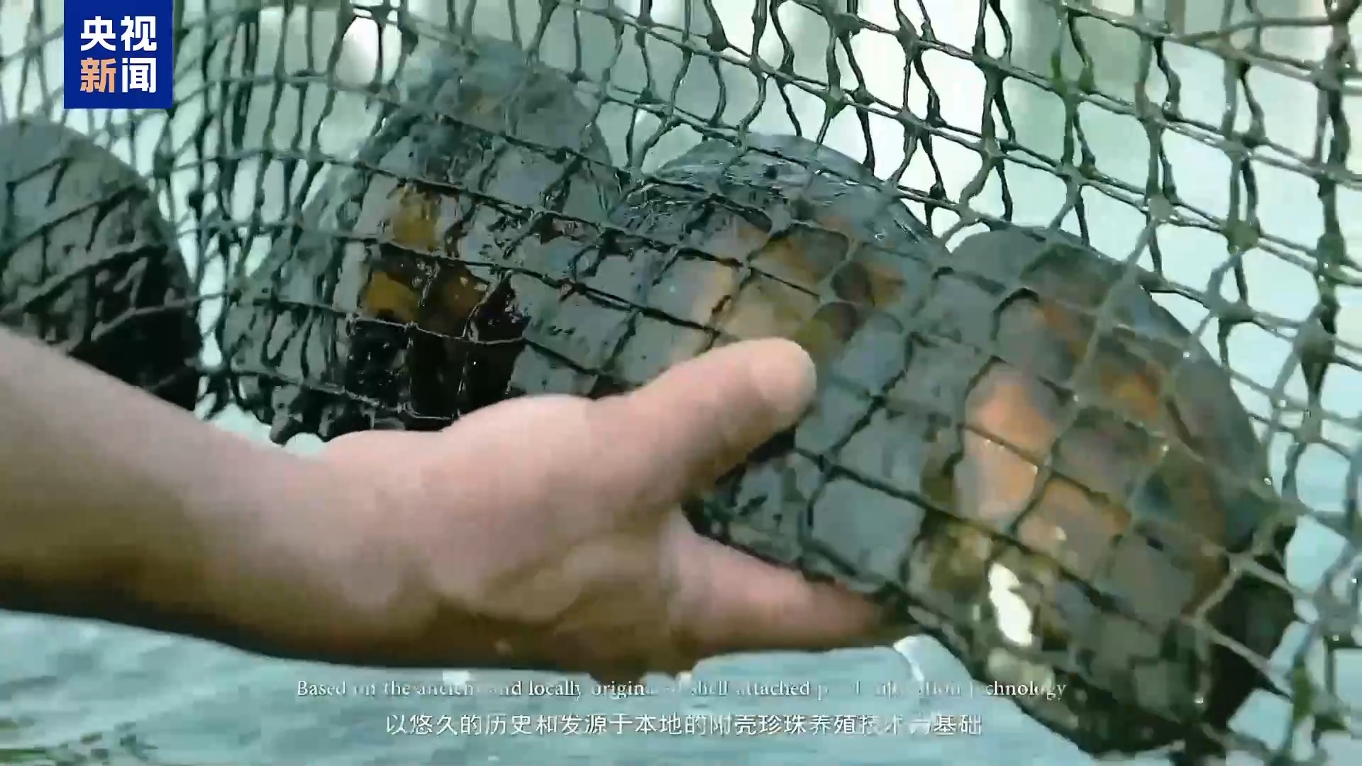 联合国粮农组织：中国新增3项全球重要农业文化遗产系统