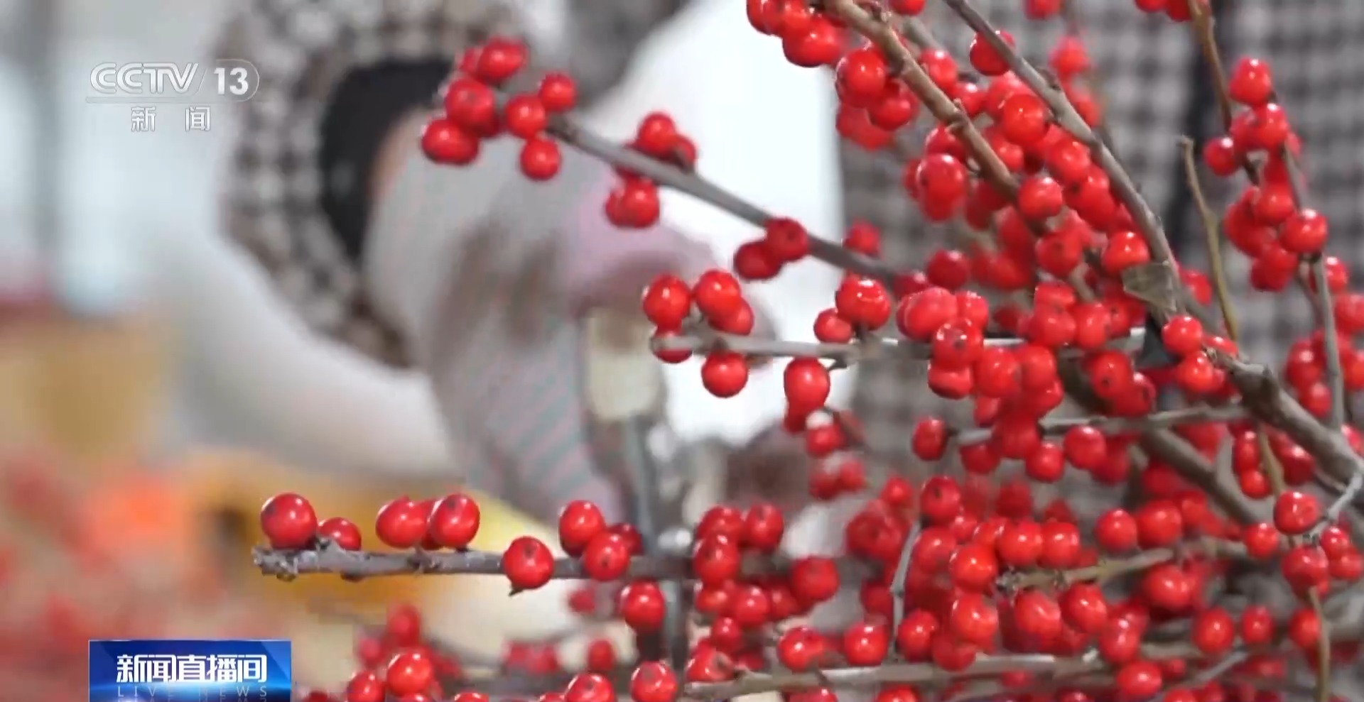 闹社火、赏花灯、逛大集 新春将至各地年味渐浓