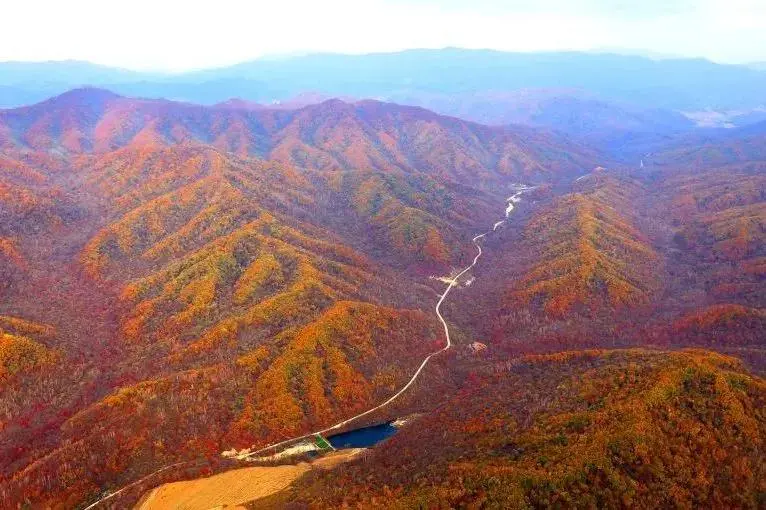 这条高铁近期特别火!除了美景还有不能“辜负”的美食 这条高铁近期特别火!除了美景还有不能“辜负”的美食