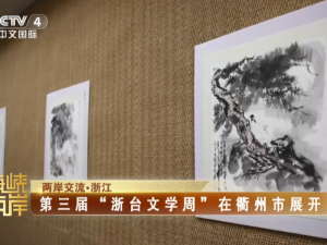 【海峡两岸】第三届“浙台文学周”在衢州市展开