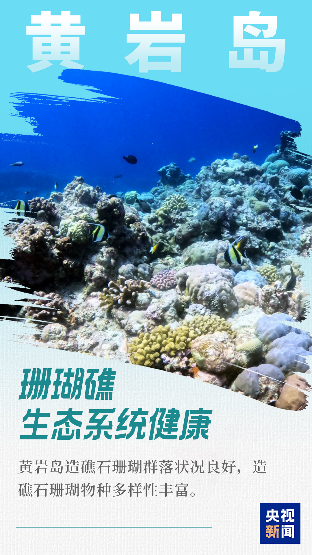 颜值实力并存！空中、水下沉浸式看黄岩岛