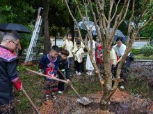 “两岸一家亲”的青春注脚：景台青少年共植同心树同唱畲语歌