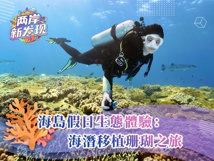 【两岸新发现】海岛假日生态体验：海潜移植珊瑚之旅