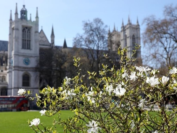 英伦春色