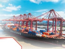 坚持对外开放，推动多领域合作共赢