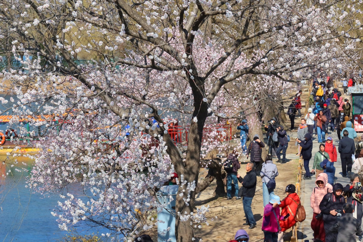 北京：颐和园春色渐浓