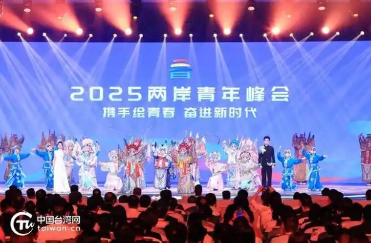 “在北京，我看见两岸青年在彼此的青春里种下友好的种子”_fororder_峰会2.JPG