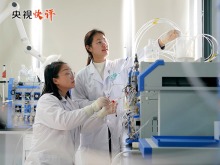 央视快评丨加速妇女全面发展新进程 共同创造人类更加美好的未来