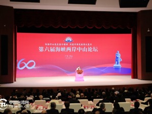高清图丨第六届海峡两岸中山论坛在广东中山开幕