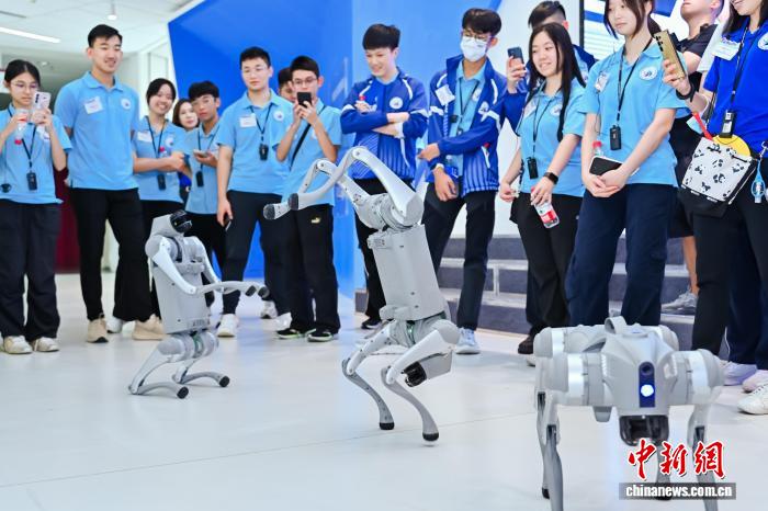 150名深港两地优秀青年禁毒代表走进深圳实践交流