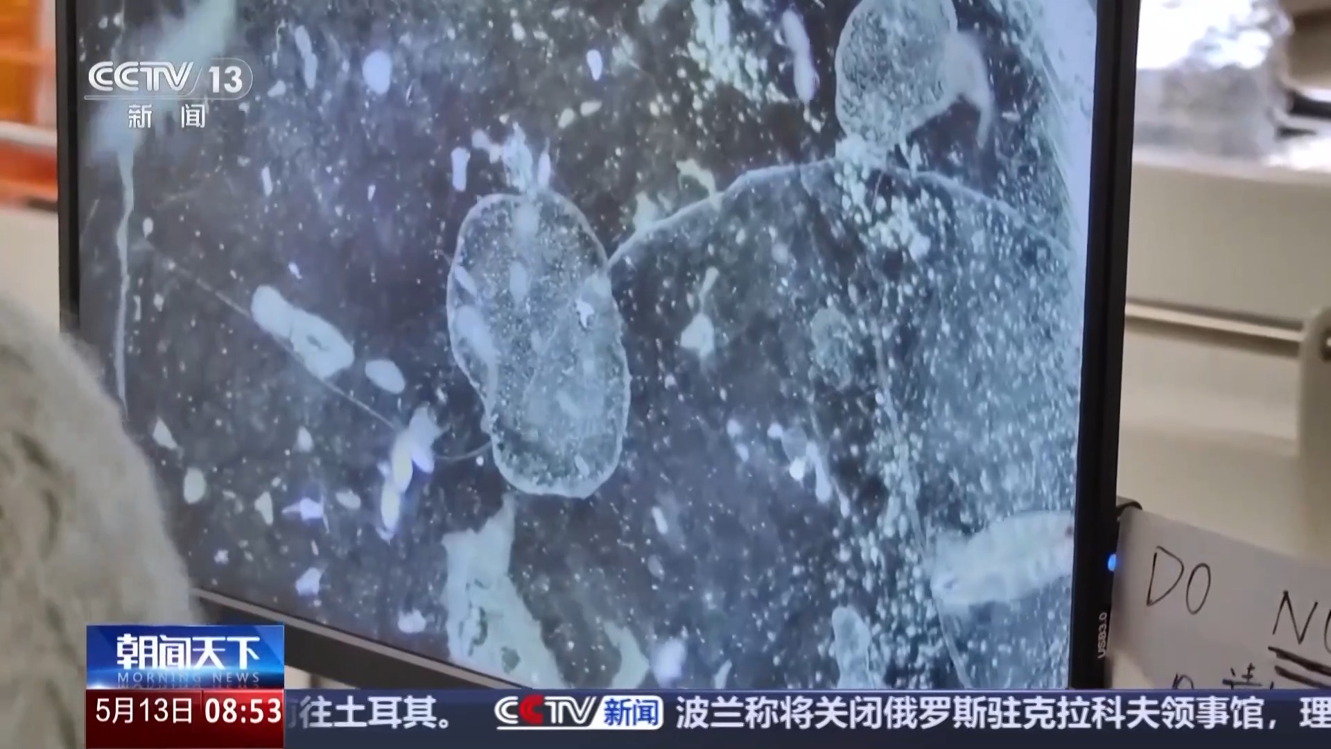涉及海冰研究、海洋生物等 中国南极科考有了新发现