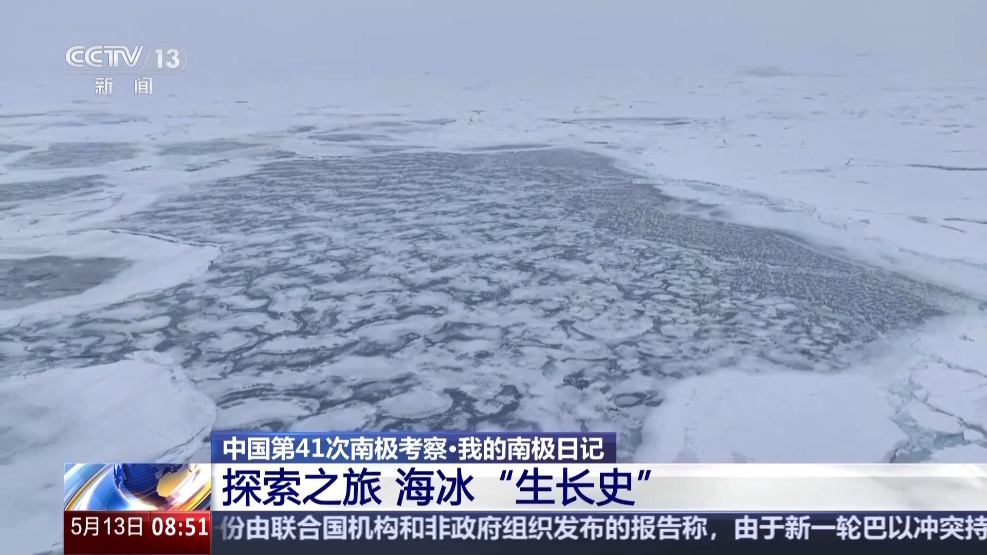 涉及海冰研究、海洋生物等 中国南极科考有了新发现
