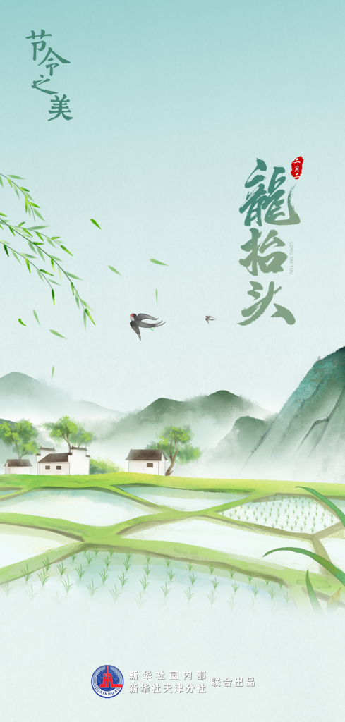 节令之美｜又是一年“龙抬头”：抬头皆美好，所遇皆温柔