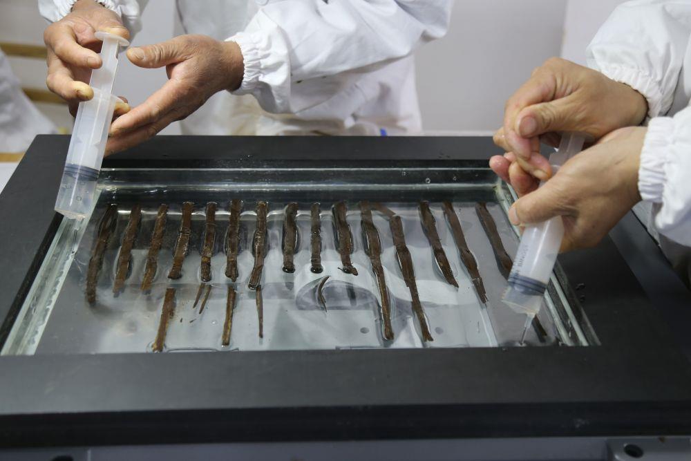 海昏简牍经文保修复数量更新为5795枚