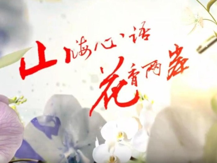 云南首部两岸花卉文旅微短剧《山海心语 花香两岸》（第六集）