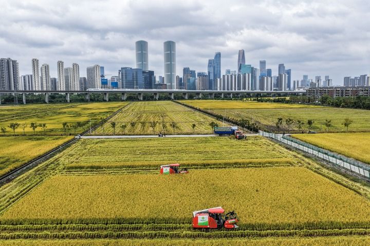 江山壮阔万象新——习近平总书记引领中国式现代化新征程