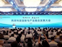 第29届鲁台会：产业携手青年聚力，以创新之笔绘就两岸融合新画卷