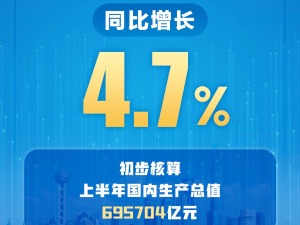 国家统计局：上半年国内生产总值695704亿元 同比增长4.7%
