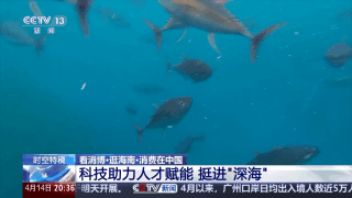 辽阔海洋变“蓝色粮仓” 深海美味“游”向餐桌