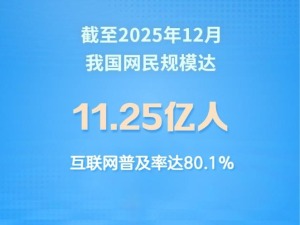 中国网民规模达11.25亿人 互联网普及率突破80%