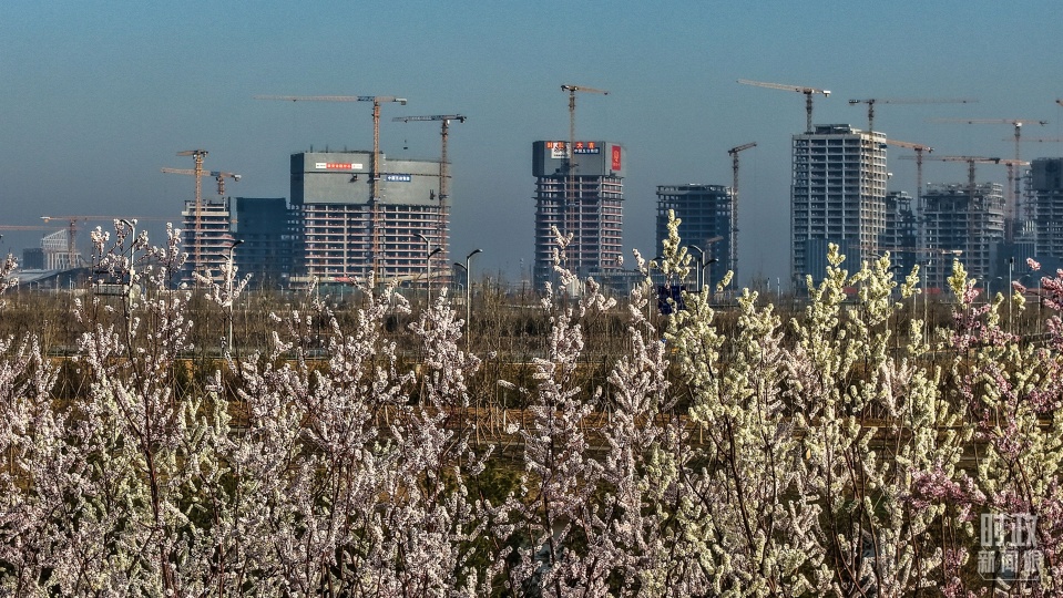 时政新闻眼丨第四次到雄安，习近平为“千年大计”作出重要部署