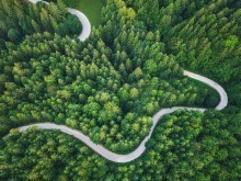 全球增绿看中国！2025年国土绿化公报亮出硬核数据