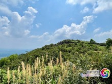 追寻抗战记忆｜影珠山：倭寇未曾留片甲，英魂驻此障长沙
