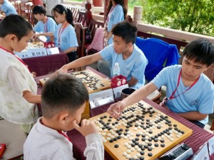 永子为媒 棋连两岸