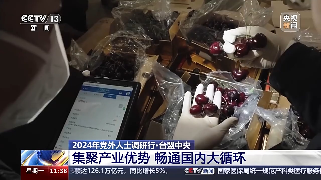 港产城融合发展、打造新增长极……台盟中央调研行重点有哪些？