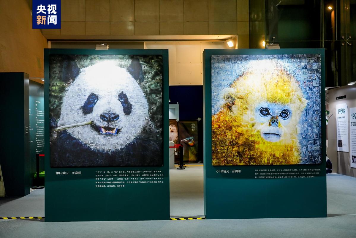 大熊猫国家公园自然教育计划“双宝溯源行动”正式启动