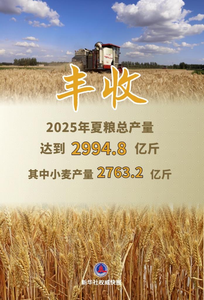 今年全国夏粮获得丰收 总产量达2994.8亿斤