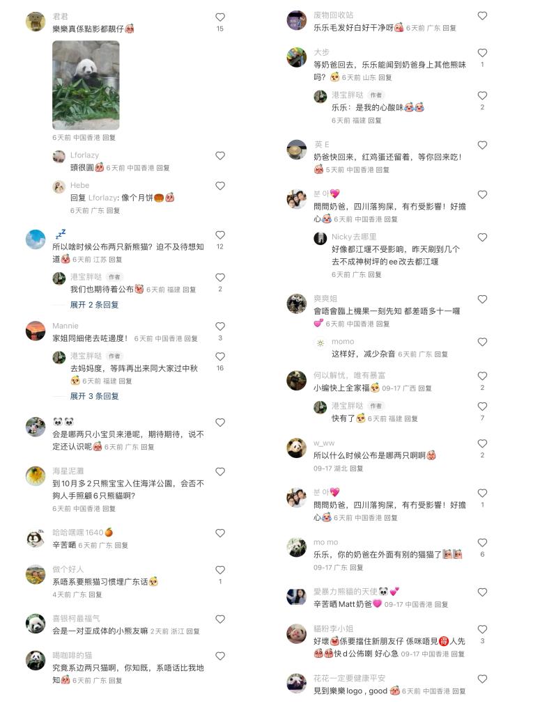 百闻不如一见｜5个关键词揭秘大熊猫赴港全流程