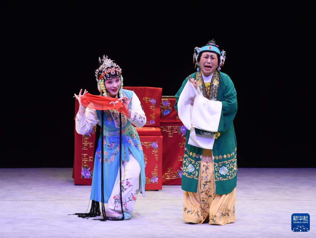 锡剧《珍珠塔》在维也纳精彩亮相