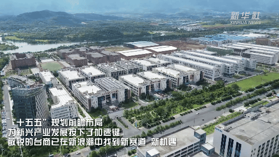 共享机遇 共筑未来——台商台企畅聊“十五五”