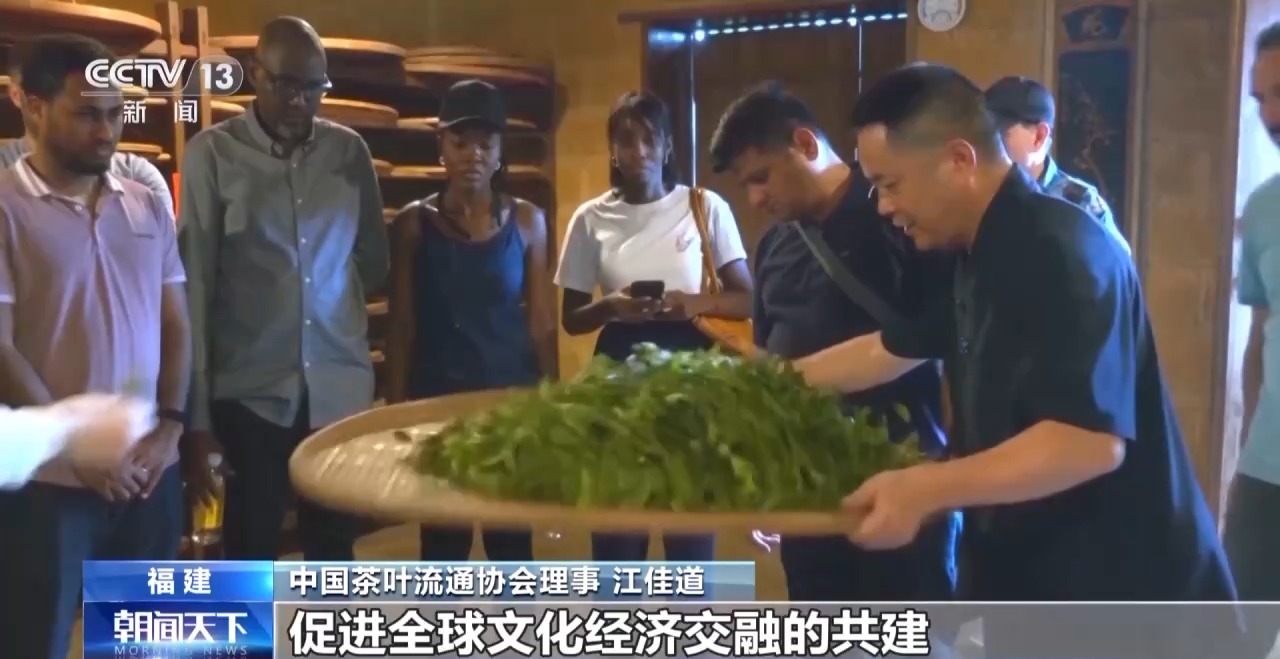 国际茶日来“万里茶道”的起点 赴一场茶香之约