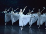 中央芭蕾舞团亮相“国风国韵飘香江”新演出季