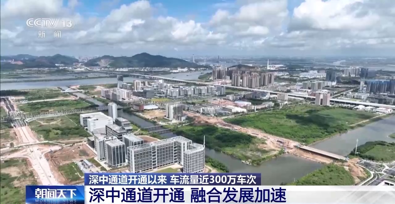 每單貨運(yùn)輸成本降20%左右 深中通道助力物流降本增效