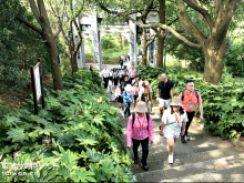 台湾青年走进抗战胜地怀化市龙潭镇